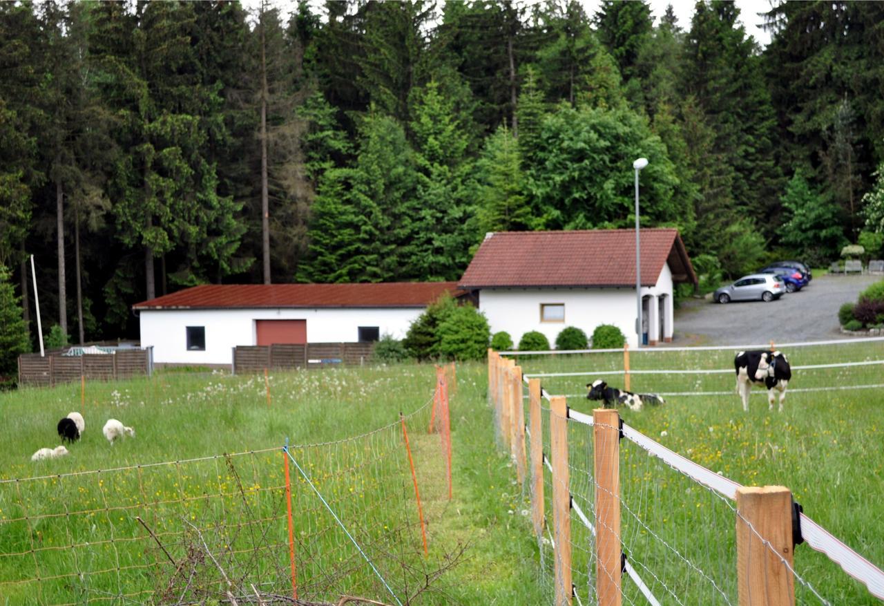 Ferienhaus Müller Warmensteinach Exterior foto